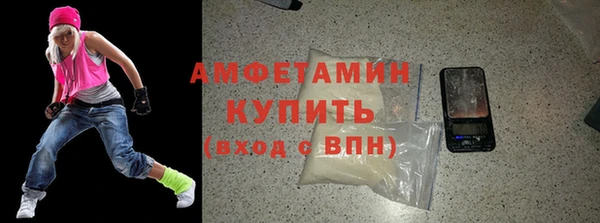 шишки Горно-Алтайск