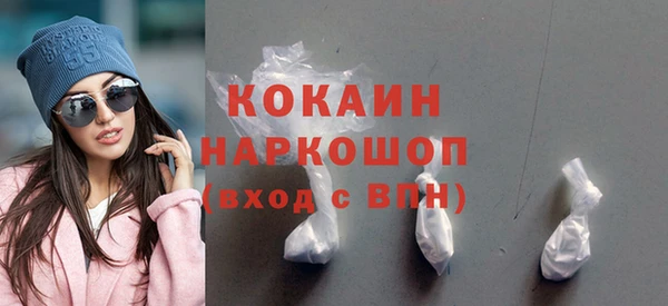 шишки Горно-Алтайск