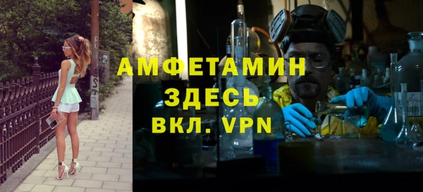 шишки Горно-Алтайск