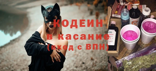 шишки Горно-Алтайск