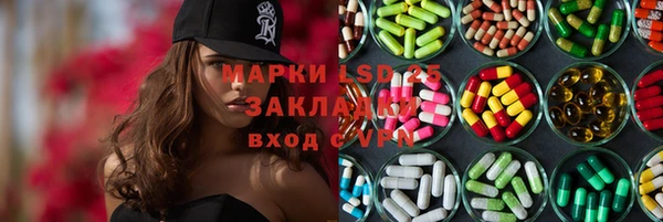 шишки Горно-Алтайск