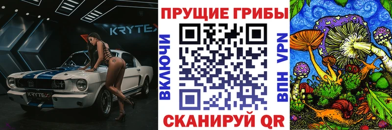 Купить где  Островной  Галлюциногенные грибы Psilocybe 